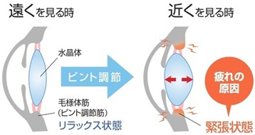 長時間の近方視